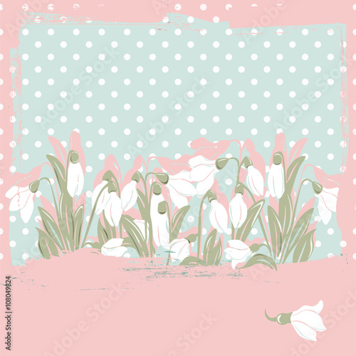 Snowdrop flowers Blossom spring card. Vector spring background.Calligraphic f...