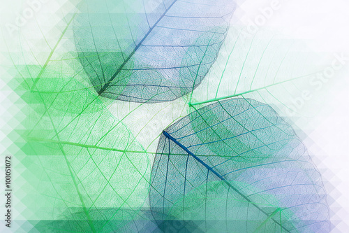 Decorative skeleton leaves, abstract background
