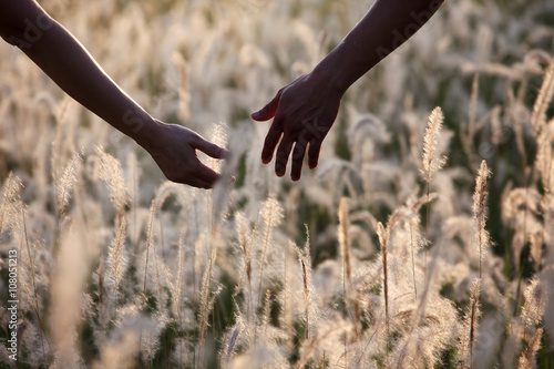 couple hands touching reeds grass