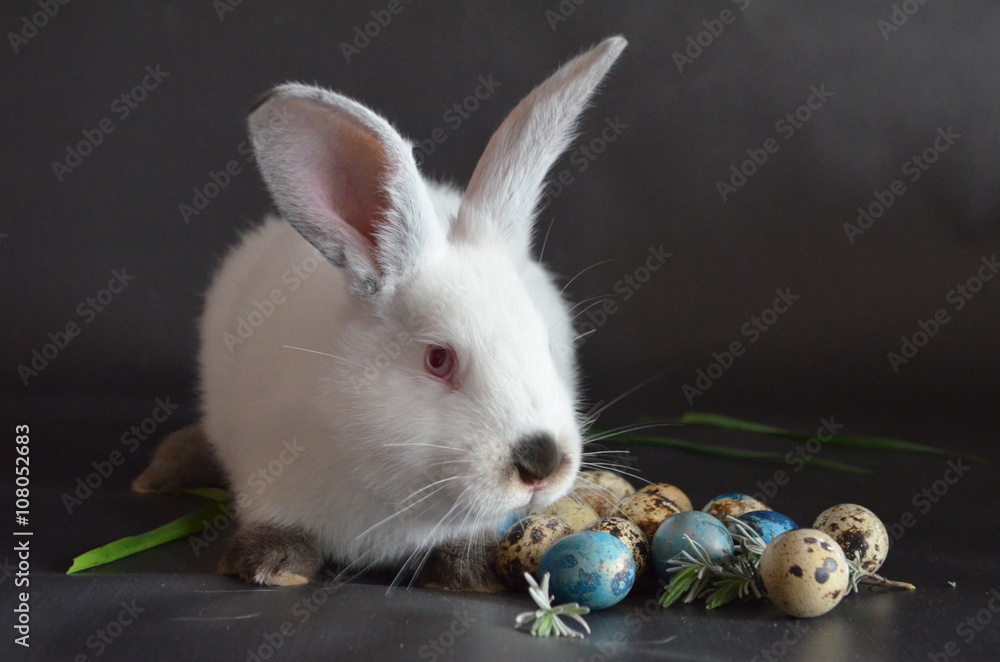 Пасхальный кролик и пасхальные яйца