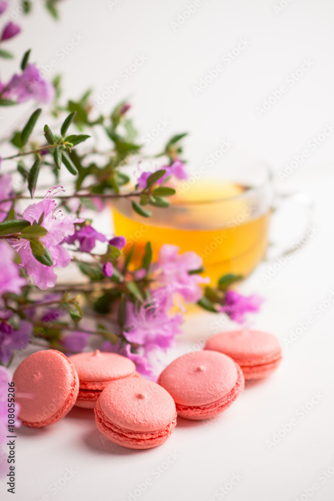Pink macaroons on the white wooden background. Shallow depth of field. Pink macaroons on the white wooden background. Shallow depth of field.