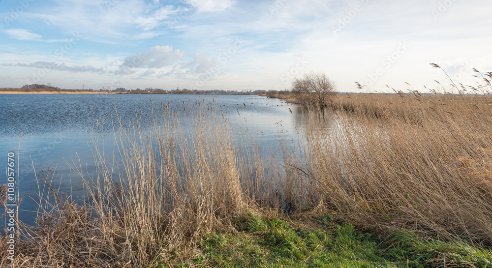 Scenic view of a small lake in the winter season Scenic view of a small lake in the winter season