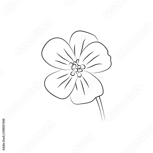 Fototapeta Naklejka Na Ścianę i Meble -  geranium flower simple black lined icon on white background