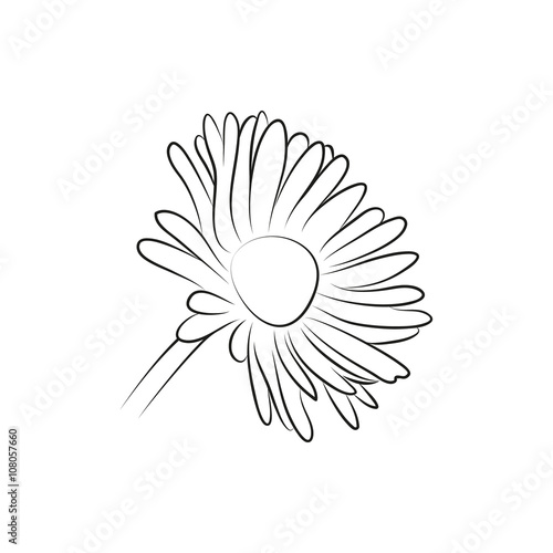 Fototapeta Naklejka Na Ścianę i Meble -  camomile or daisy flower simple black lined icon on white background