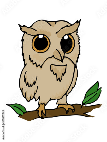 Hand drawn illustration of owl