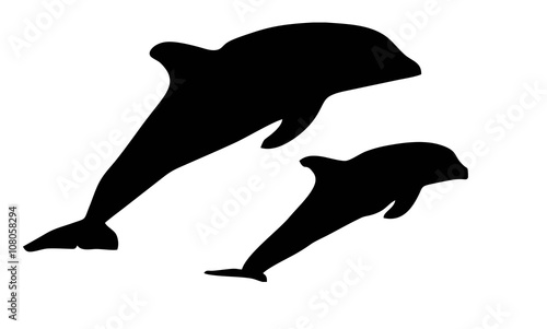 dolphin silhouette