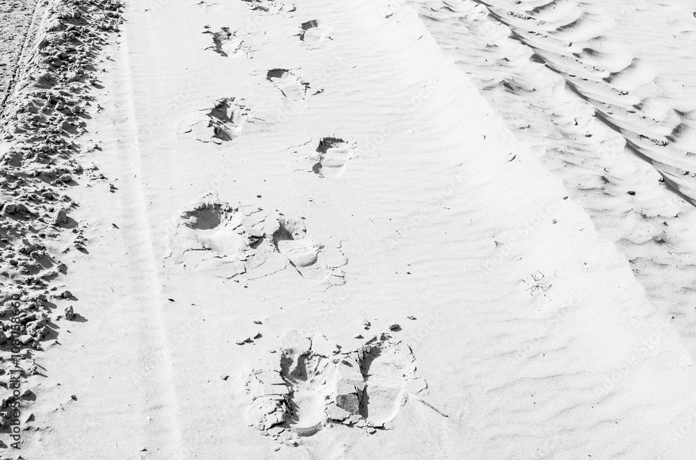 human footprints on the sand in black and white