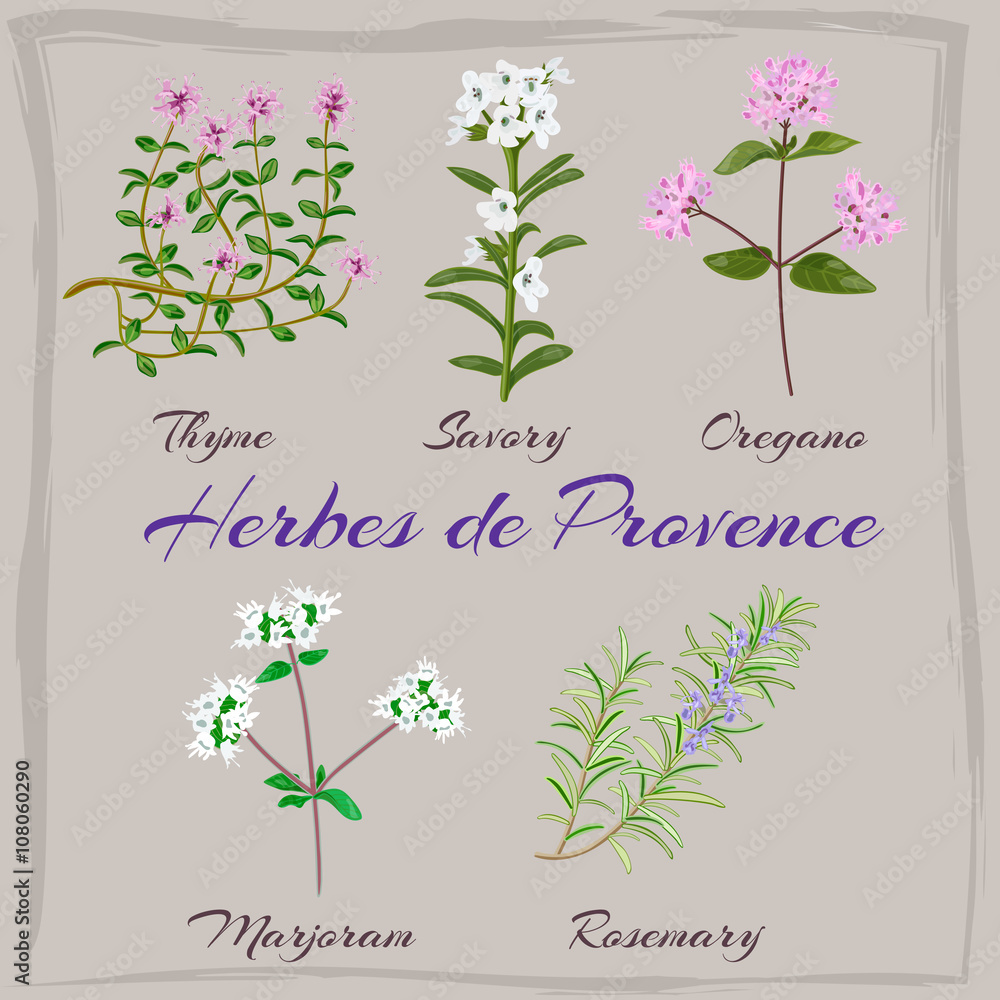 Herbes de Provence.