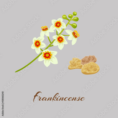 Fankincense