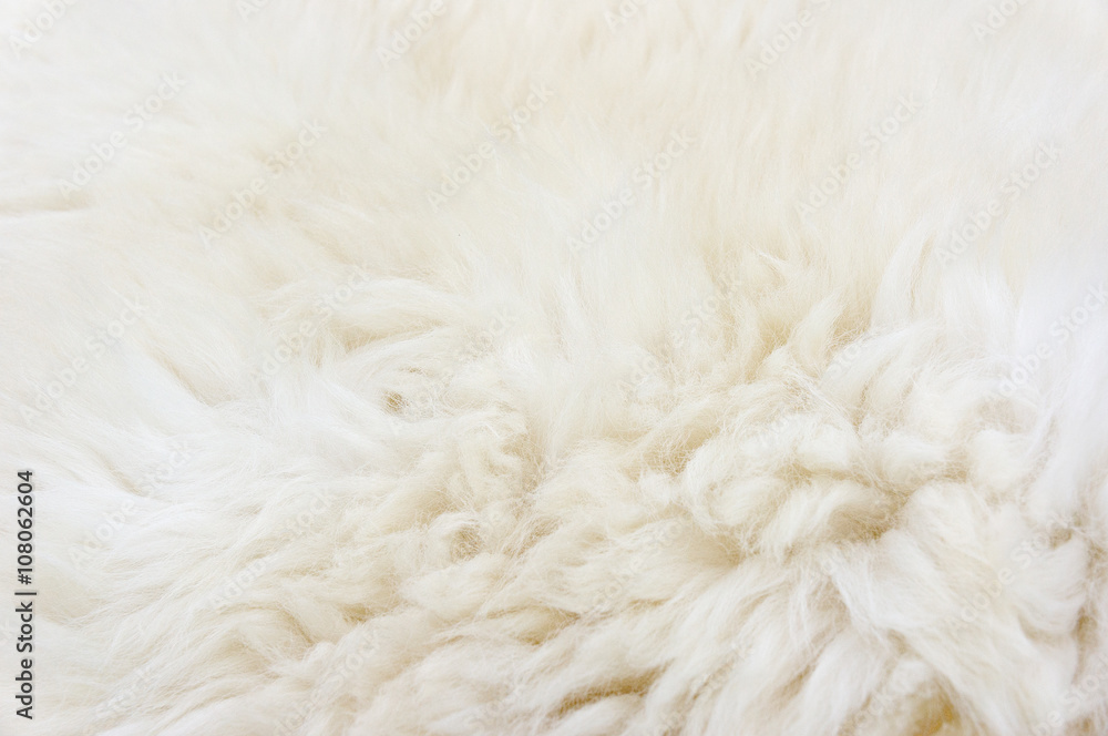Fur texture Fur texture