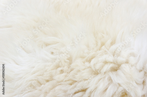 Fur texture