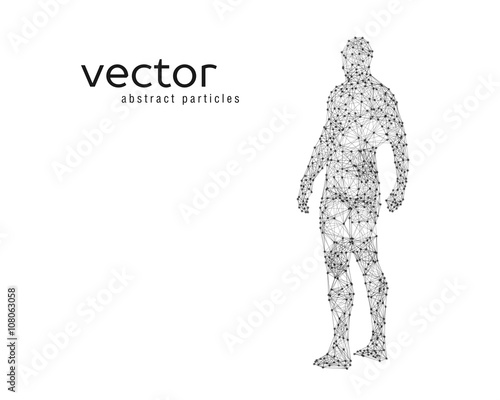 Vector illustration of human body