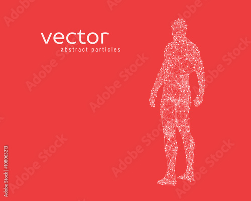 Vector illustration of human body