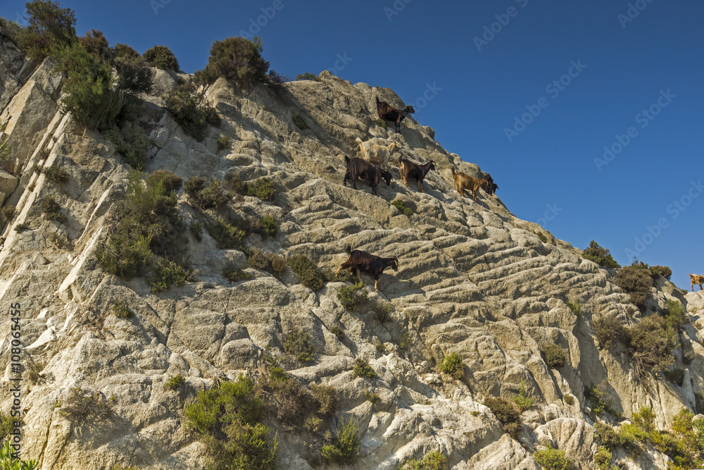 Naklejka premium Sithonia Landscape, Chalkidiki, Sithonia, Central Macedonia, Greece