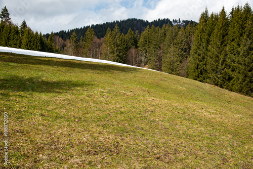 amaizing mountains meadow in Bavaria