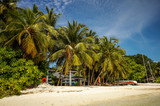 Tropical Maldivian resort.