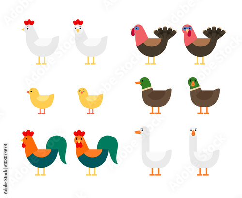Farm birds - ducks, geese, hens, roosters, chickens, turkeys