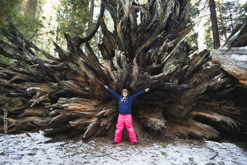 Mixed race girl standing under uprooted tree in forest photo