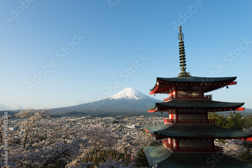 桜と富士山 五重塔