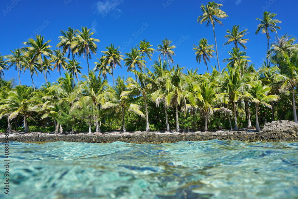 Obraz premium Untouched tropical shore with coconut trees seen from the water surface, Huahine island, Pacific ocean, French Polynesia
