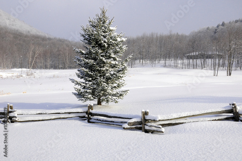 Winter landscape in Bromont, Quebec, Canada photo