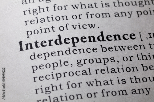 definition of interdependence photo