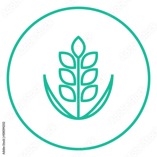 Wheat line icon.