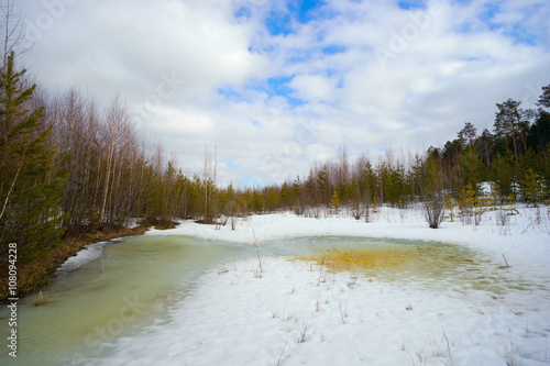 Wallpaper Mural Great snow thawed patch in the woods spring. Torontodigital.ca