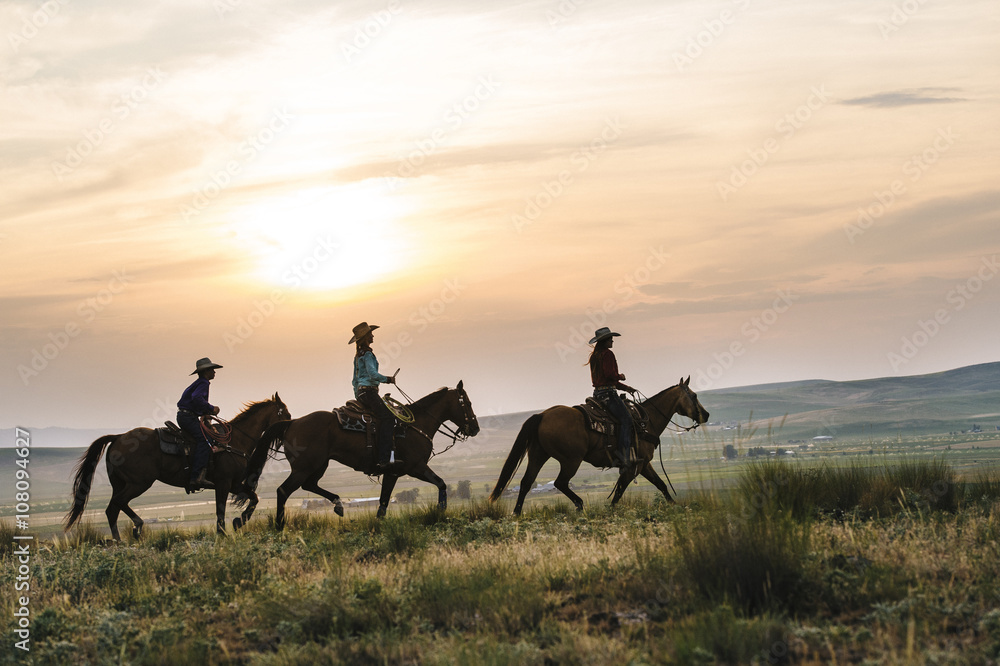 Cowgirls riding horses in rural field Cowgirls riding horses in rural field
