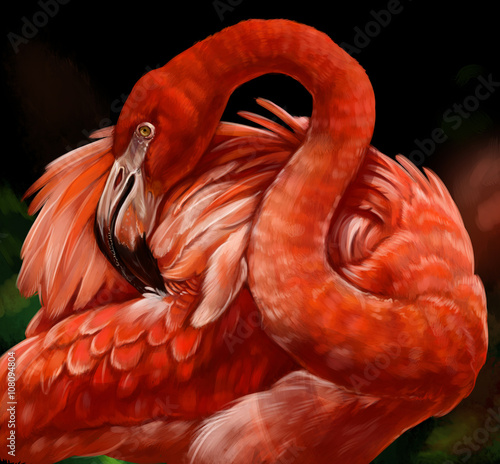 Fototapeta flamingo