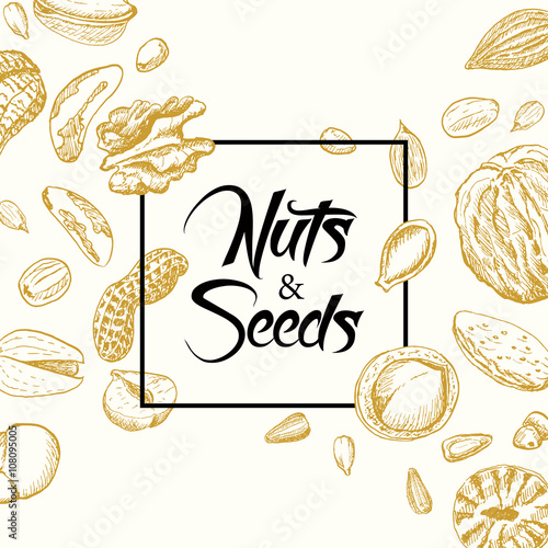 Vector square frame of nuts and seeds