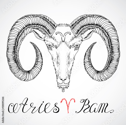 Hand drawn zodiac sign of Aries or Ram