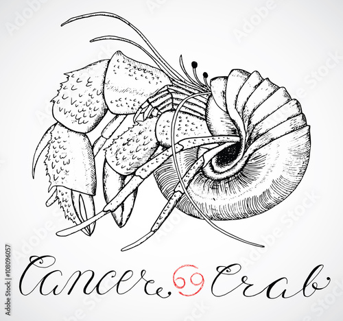 Hand drawn zodiac sign or Cancer or Crab