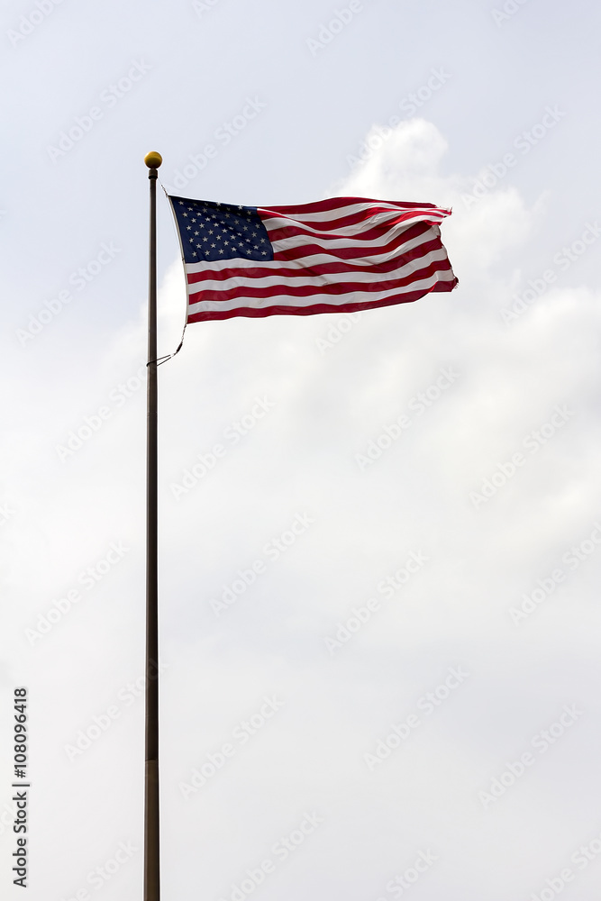 Fototapeta premium United States of America Flag