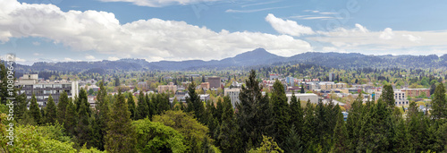 Eugene Downtown from Skinner Butte Park Panorama photo