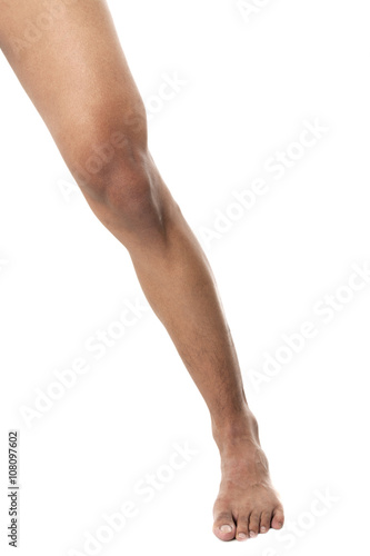 human leg