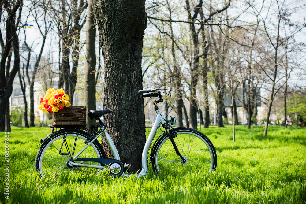 bicycle with flowers bicycle with flowers
