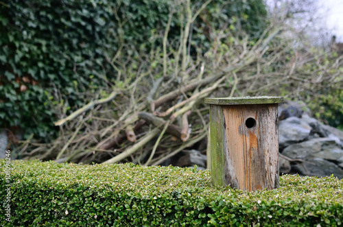 Birdhouse  /  The birdhouse after  the winter on the hedge. © nagygabi1