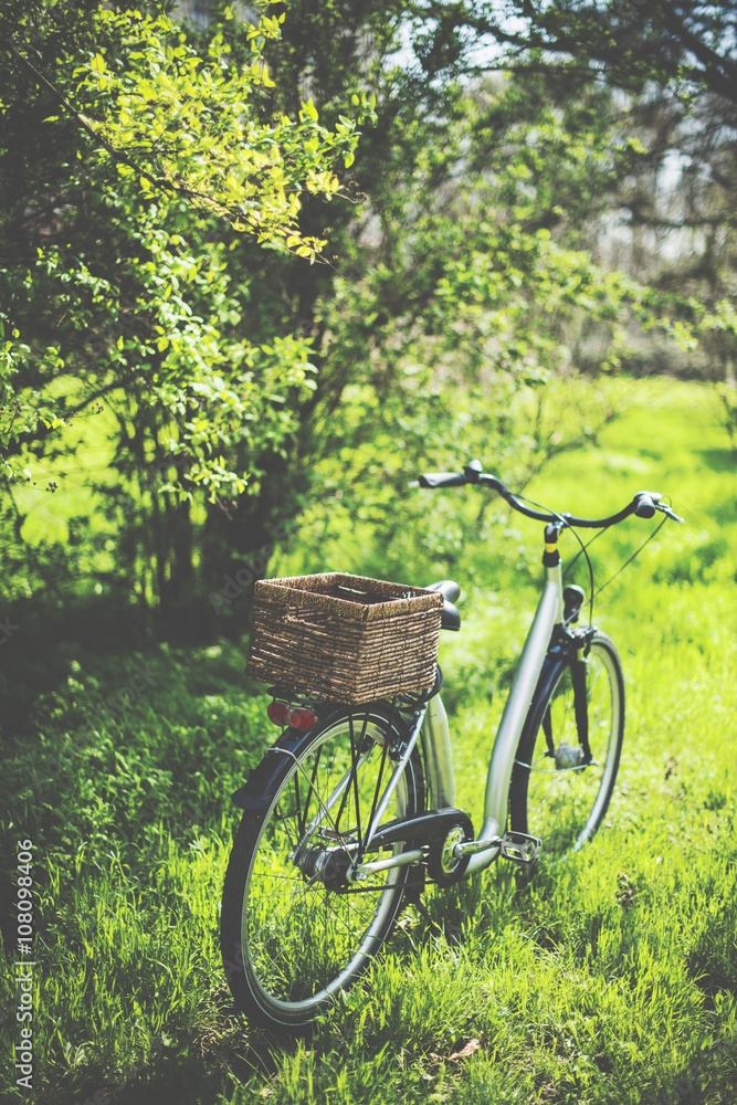 bicycle with a wicker basket