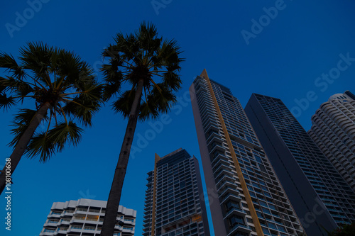 Palm tree tops against apartment or hotel building and blue sky. Vacation tropical background. © YURII Seleznov