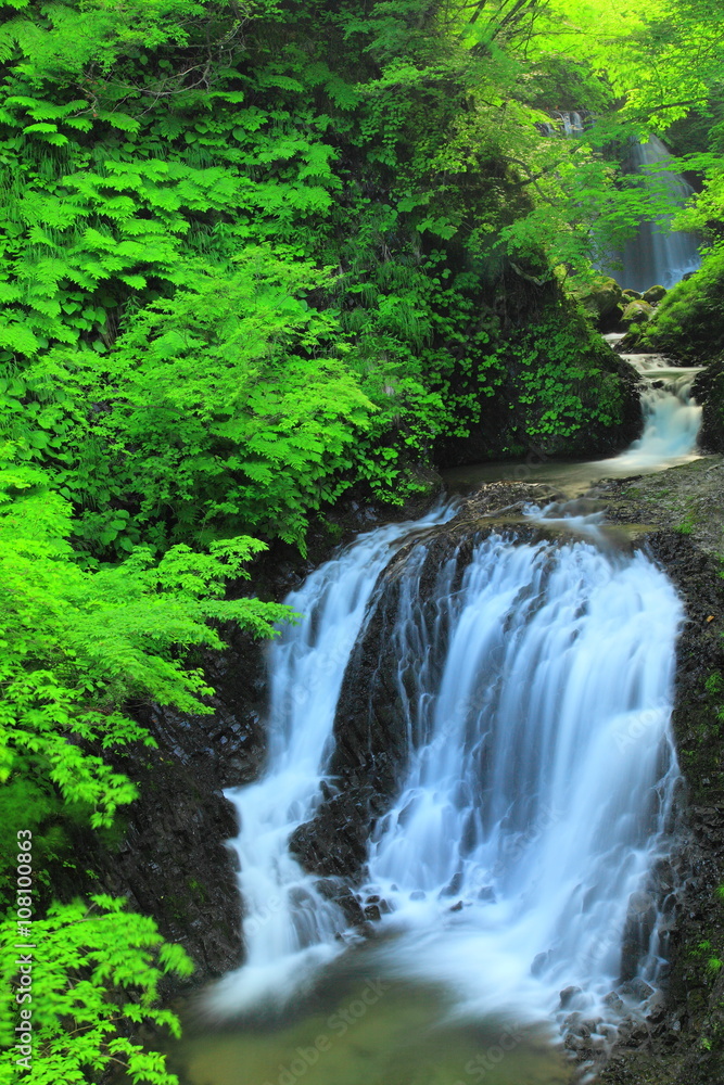 衣の滝 衣の滝