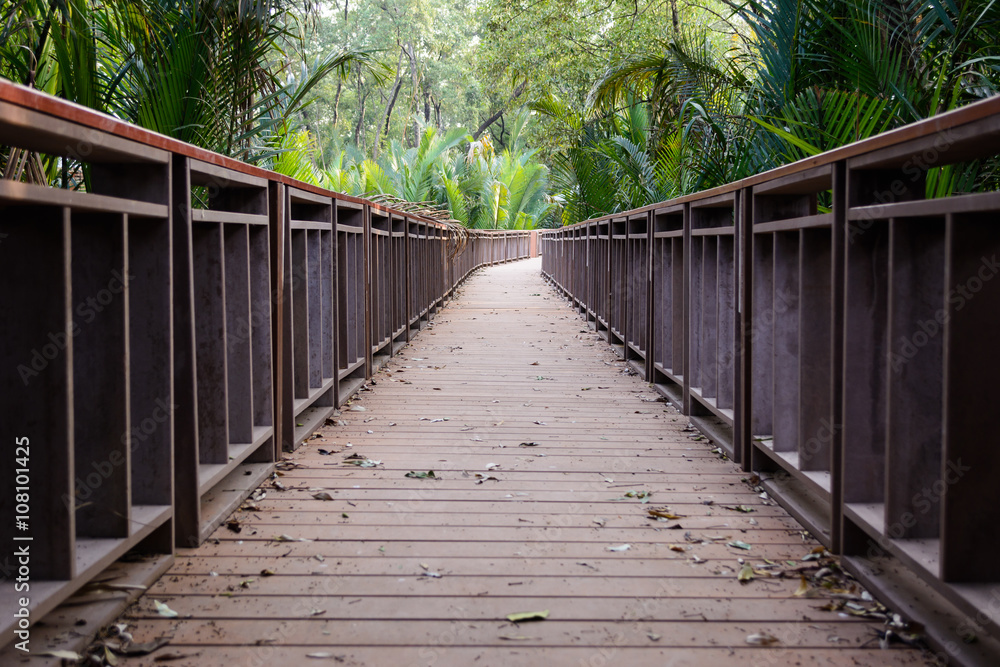 Obraz premium wood bridge in forest