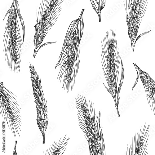Seamless pattern with ears of wheat. Black and white color. Bakery sketch. Vintage vector hand drawn engraving illustration. Black and white color