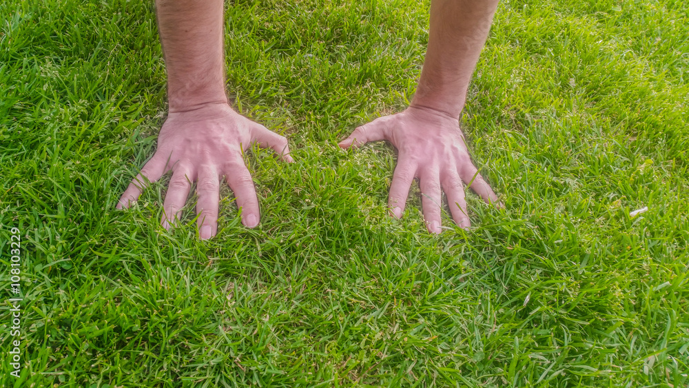 Hand on green grass on a sunny day Hand on green grass on a sunny day