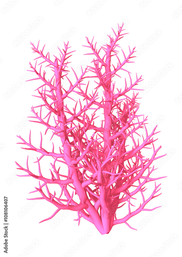 Fototapeta premium 3D Illustration Pink Coral on White