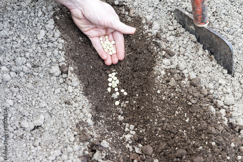 Tableau sur toile man who sowed in the ground hoed