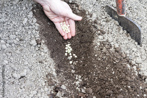 man who sowed in the ground hoed