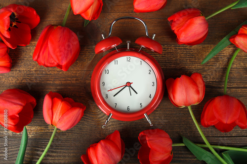 Fototapeta Naklejka Na Ścianę i Meble -  new red clockwork alarm clock with fragrant red tulips on a brown wooden background