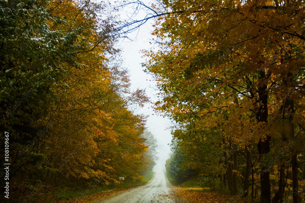 Obraz premium the view down a scenic country roadway in autumn landscape