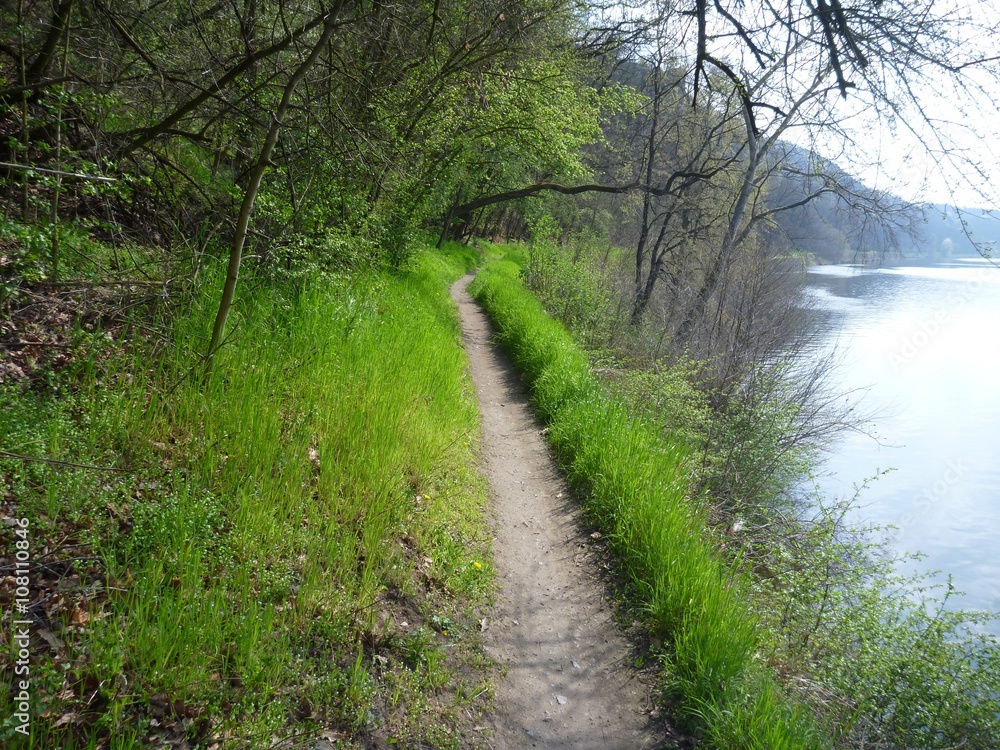 Fototapeta premium narrow trail along the river